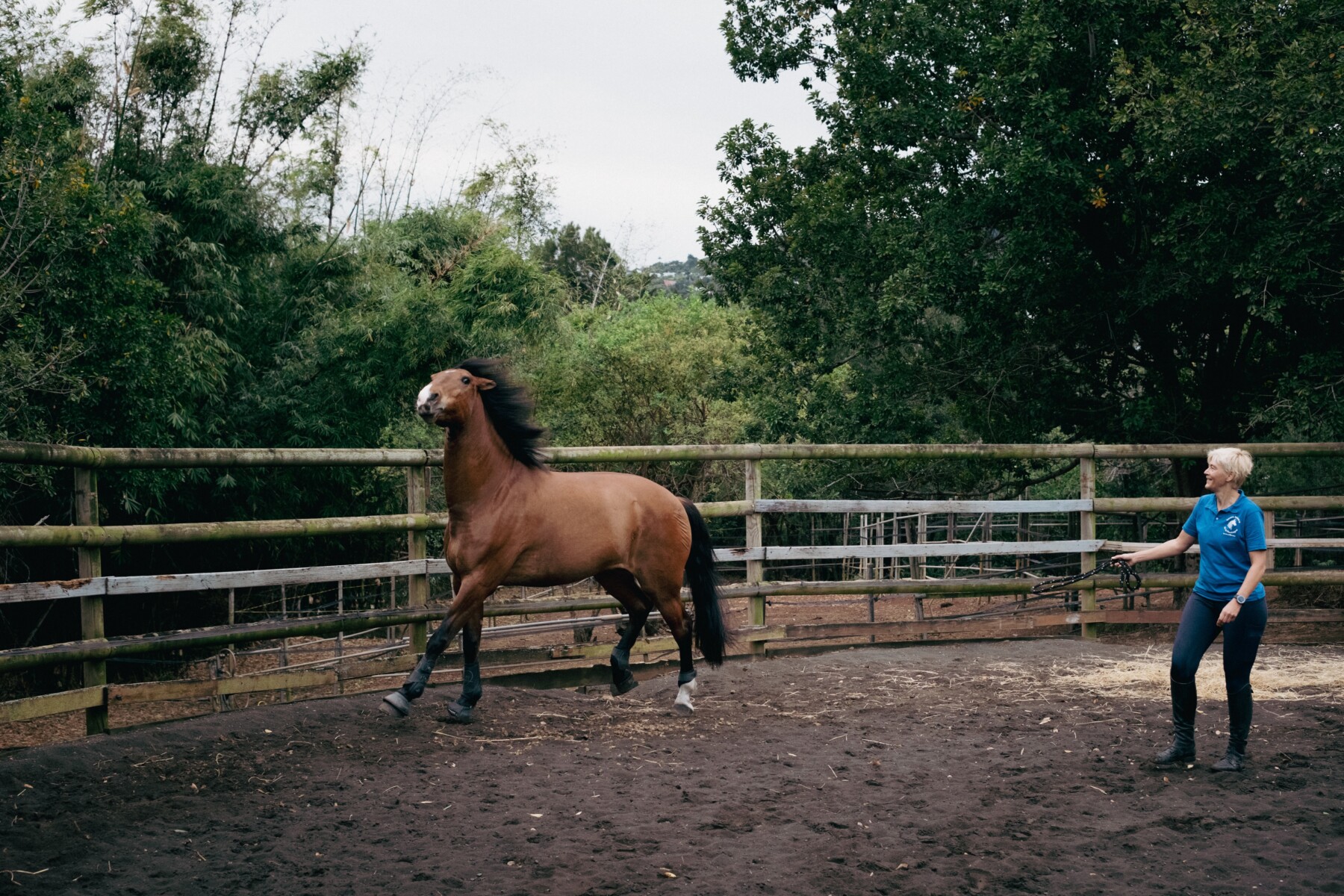 Coaching assisté par les chevaux, Franziska Goderbauer