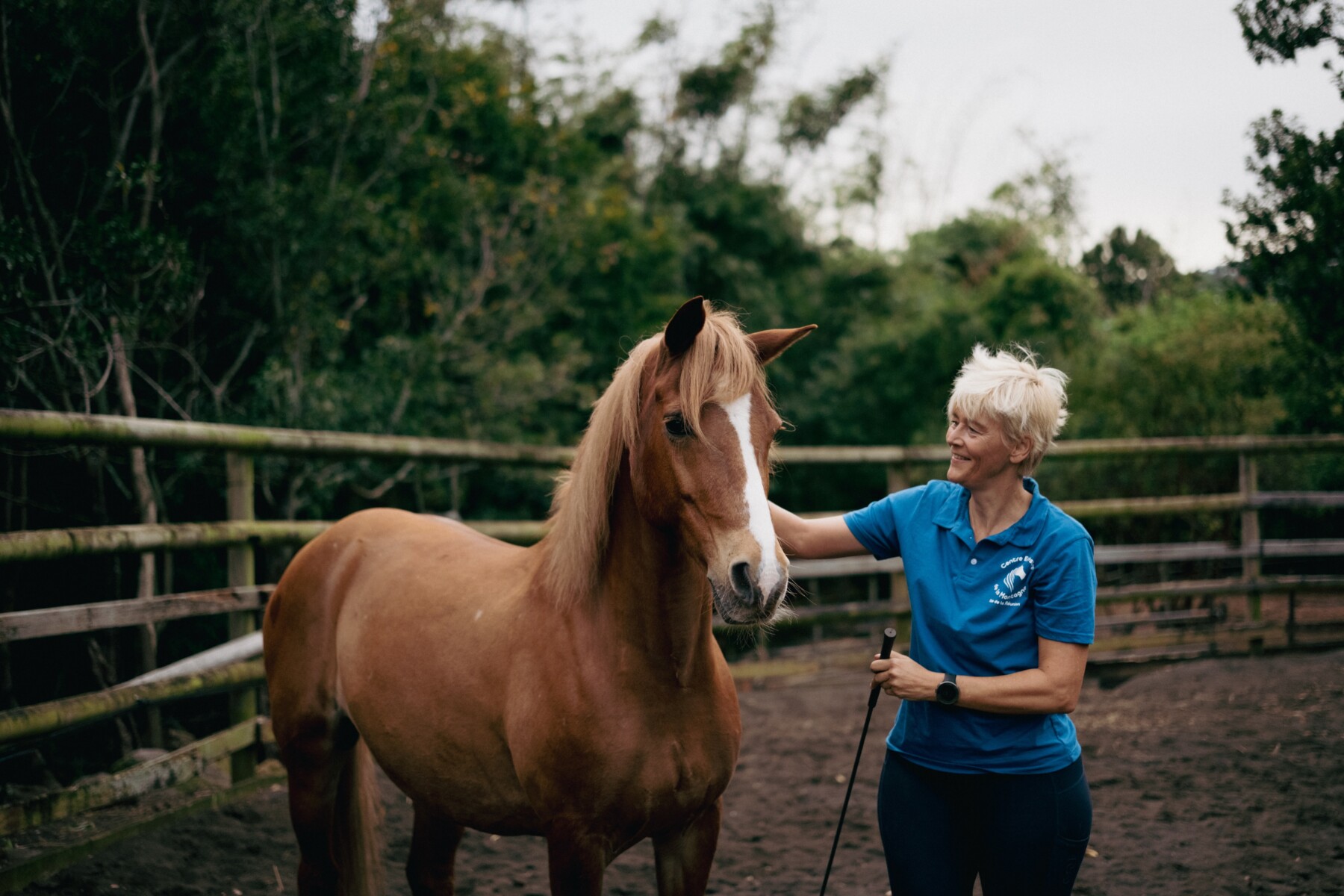 philippon_actoi_horses_194