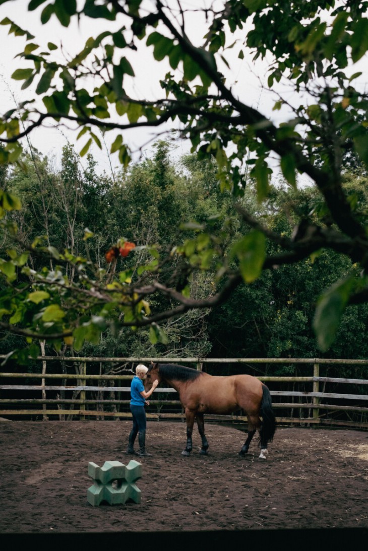 philippon_actoi_horses_143